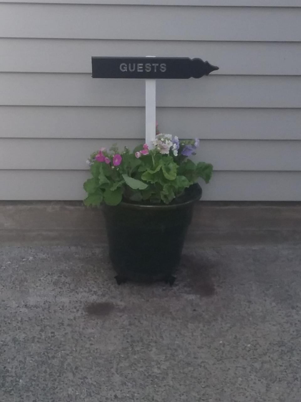 Alfred'S@115 Bed & Breakfast Blenheim Exterior foto